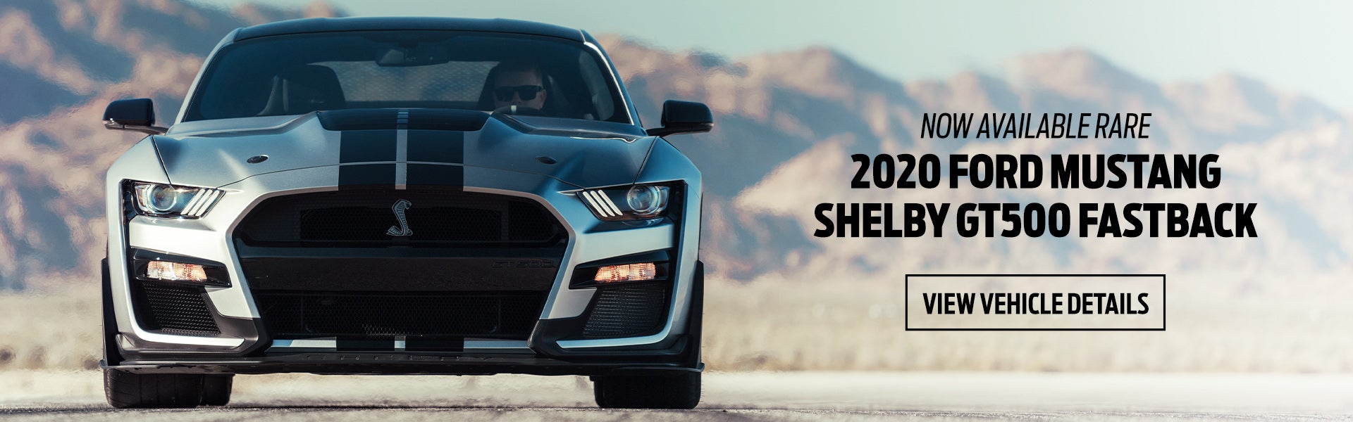 2020 Shelby GT500 Fastback