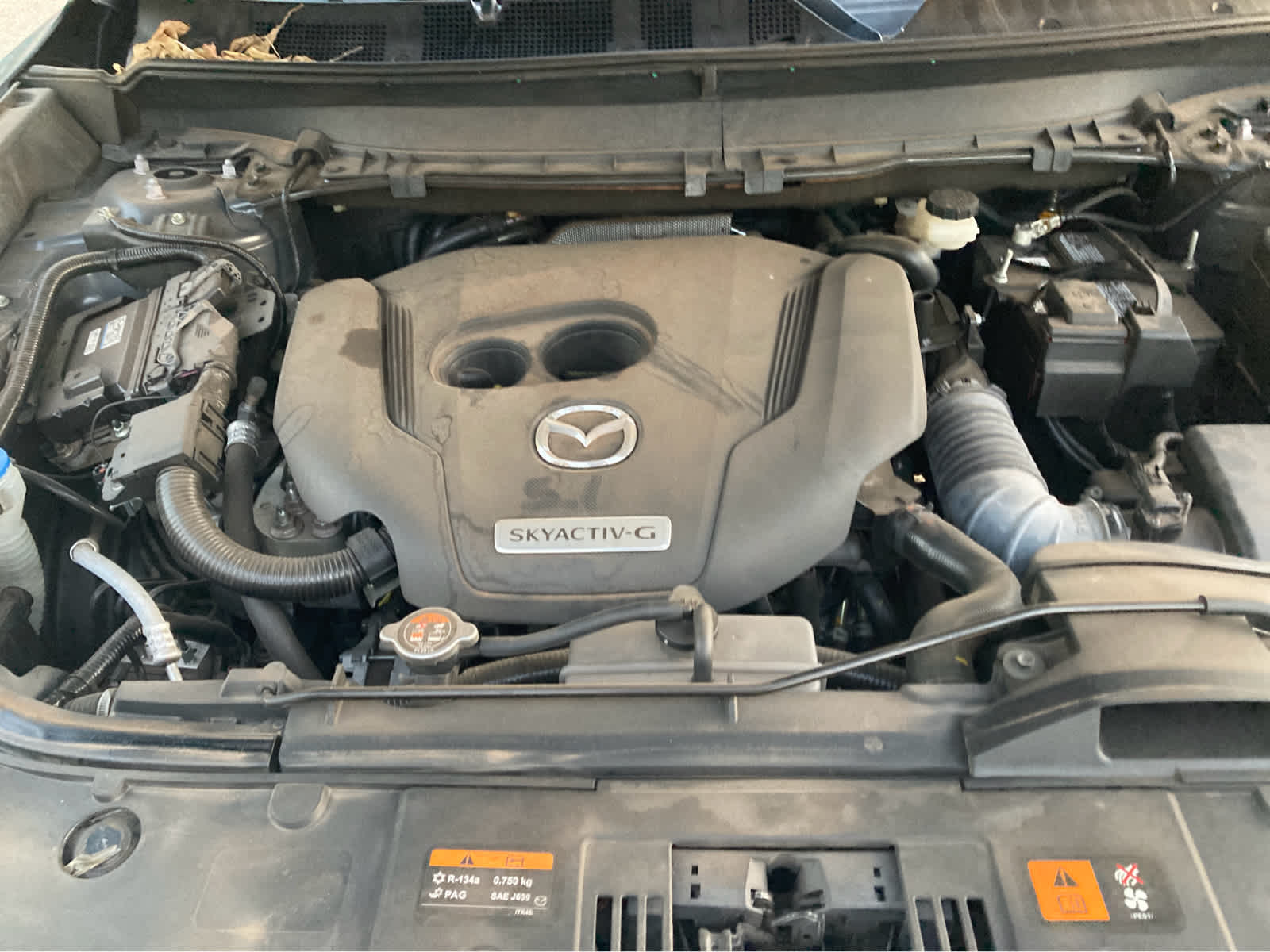 2021 Mazda Mazda CX-9 Carbon Edition
